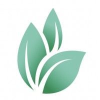 Trauma Practice for Healthy Communities Logo