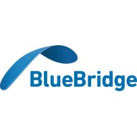 Blue Bridge Code Logo
