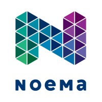 Noema - marketing research company Logo