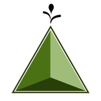 Gemini Solutions Inc. Logo