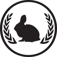 Boston Underground Film Festival Logo
