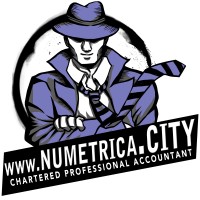 Numetrica - Cloud Accountants Logo