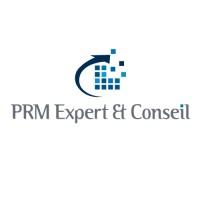 PRM Expert & Conseil (ENG) Logo