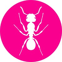ANT Logo