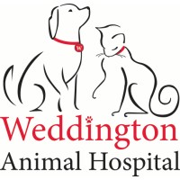 Weddington Animal Hospital Logo