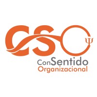 Consultores CSO Logo