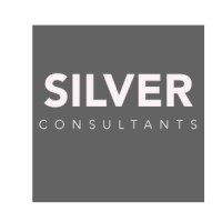 Silver Consulting Services Logo