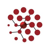 Ntiyiso Consulting Group Logo