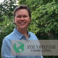 Anne Napolitano Consulting, Inc. Logo