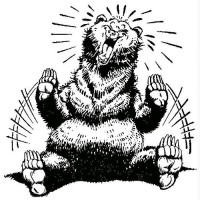 G.S.W.C. the Bares Logo