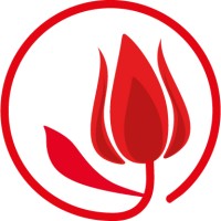 Akdemistanbul Language Center Logo