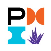 PMI Capítulo Jalisco Logo