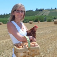 Agricola Ricciardelli Società Agricola s.s. Logo