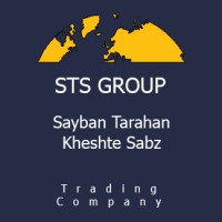 STS Group Logo