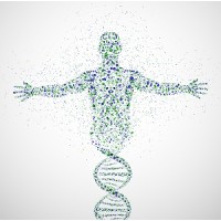 Genetic Disease Investigators, LLC Logo