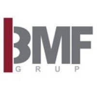BMF GRUP Logo