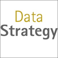 Data Strategy Logo