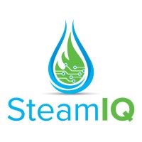 SteamIQ Logo