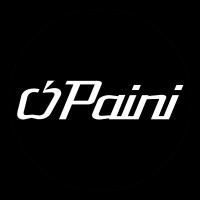 Paini SpA Rubinetterie Logo