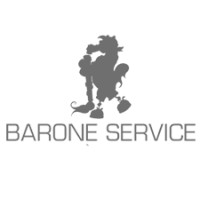 Barone Service Srl Logo