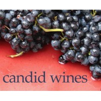 Candid Wines Logo