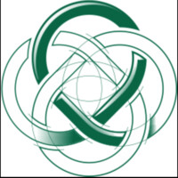 DULEVI Consulting Services Logo