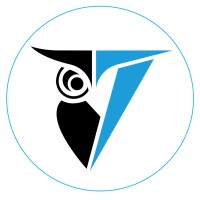 T-RISK Logo