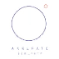 AKKURATE SECURITY Logo