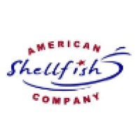 American Shellfish company Logo