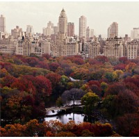 Expert Stúdió Logo