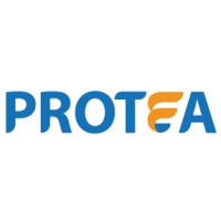 Protea Infotech Pvt. Ltd. Logo