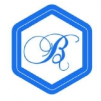 BitApps LLC Logo