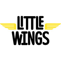 Little Wings Ltd Logo