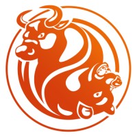 FXOpen Logo