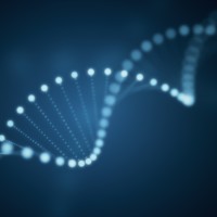 The Finnish Institute of Bioethics Logo