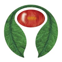 Bikiorg - Functional Commercial Service Logo
