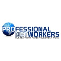 Professional Networkers Logo