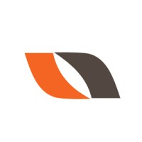 Network kings Logo