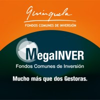Megainver S.G.F.I. S.A. Logo