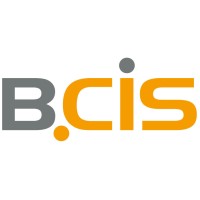 BCIS IT-Systeme GmbH & Co. KG Logo