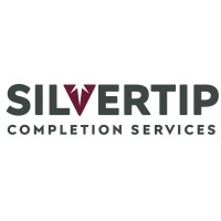 Silvertip Completion Services Logo