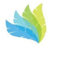 Brave Step Logo
