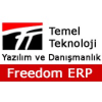 Temel Teknoloji Yazılım ve Danışmanlık Logo