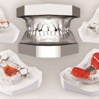 Ortolab Sp. z o.o. Logo