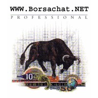 BORSA Logo