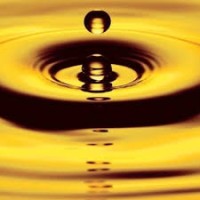 Precipitate Gold Corp Logo