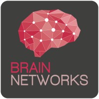 Brain Networks Logo
