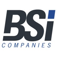 BSI Companies Logo