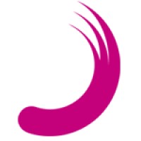 Planisware Logo