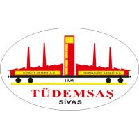 TÜDEMSAŞ Logo